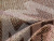 Угловой диван Хьюго правый угол (серый\коричневый\бежевый)